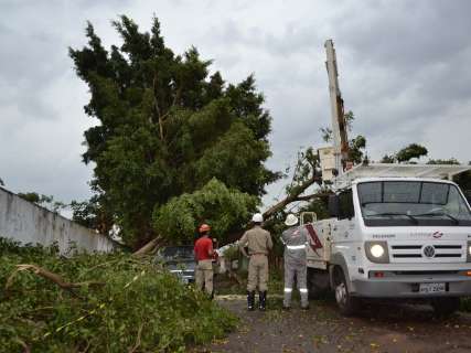 Queda de árvore deixa quatro pessoas presas em casa e região sem energia