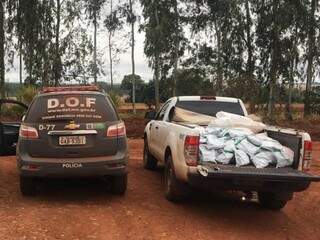 DOF apreendeu 380 quilos de agrotóxicos contrabandeados em Laguna Carapã (Foto: Divulgação/DOF)