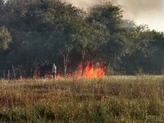 &Ocirc;nibus colide em poste de energia e provoca inc&ecirc;ndio em vegeta&ccedil;&atilde;o