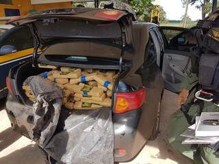 Com carteira e viatura da PF, casal atravessava MS com 350 kg de droga