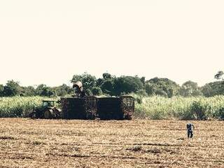 Colheita de cana na região de Sidrolândia, em Mato Grosso do Sul.  