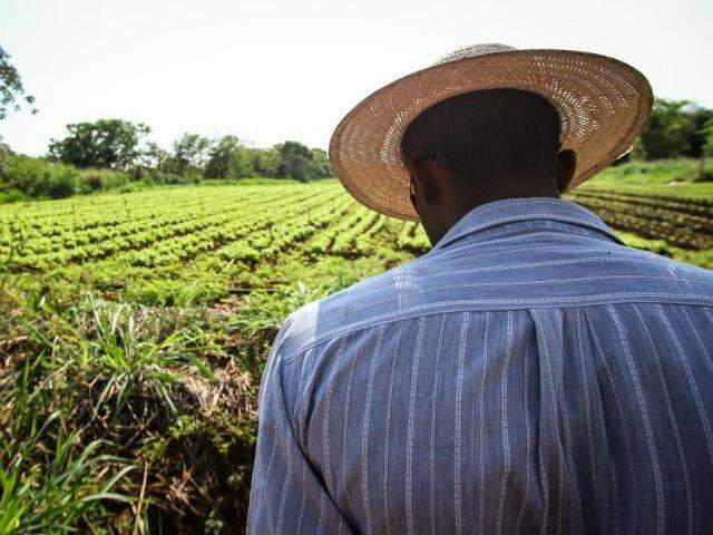 Apenas 4 cidades de MS aderiram a sistema contra desigualdade racial