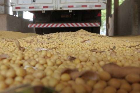 Exportação de soja cresce 82% em Mato Grosso do Sul