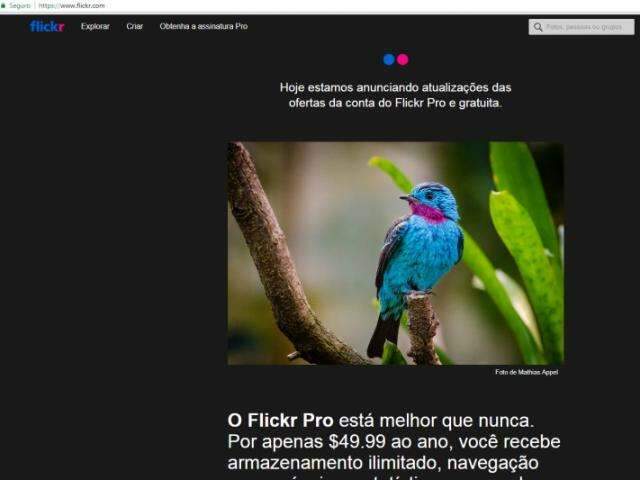 Flickr anuncia servi&ccedil;o pago e limita acesso gratuito para hospedagem de fotos
