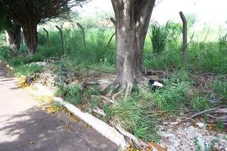Moradores acham absurdo o mato no terreno e o lixo da região (Foto: Marcos Ermínio)