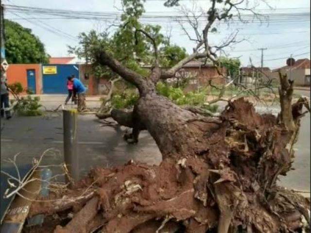 Prefeito acompanha consertos de estragos e limpeza ap&oacute;s temporal