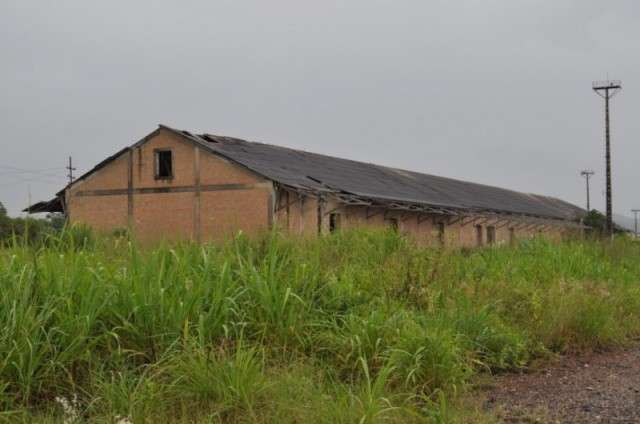 Ap&oacute;s interdi&ccedil;&atilde;o, ALL diz que mant&eacute;m limpeza de malha ferrovi&aacute;ria