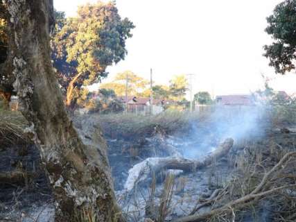 Capital mais seca do País, Campo Grande teve 97 incêndios em 3 dias