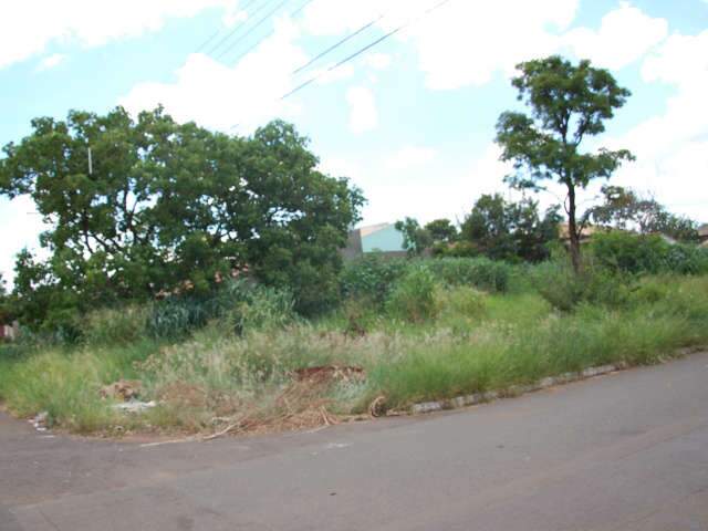  Rodeada por terrenos abandonados, comunidade reclama de descaso