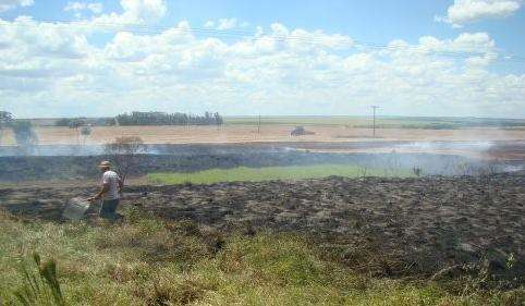 Inc&ecirc;ndio de grandes propor&ccedil;&otilde;es consome parte de duas fazendas e lavoura de soja