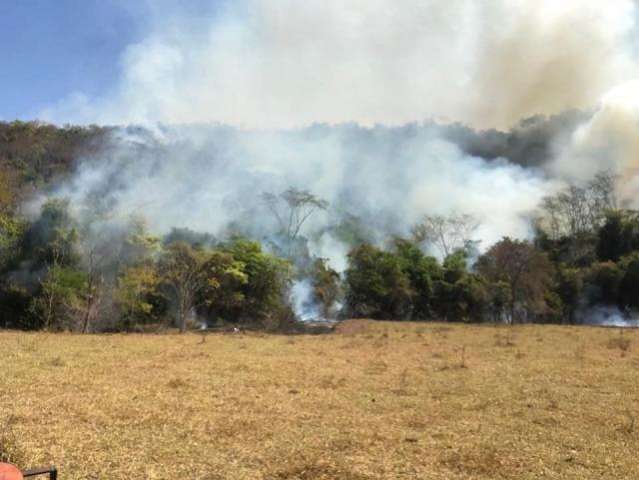 Inc&ecirc;ndio j&aacute; dura 12 dias e atinge mais de 5 fazendas no leste de MS 