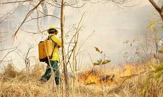 Brigadista trabalha no combate e prevenção de incêndios florestais na região pantaneira. (Foto: Arquivo Diário Online/Anderson Gallo)