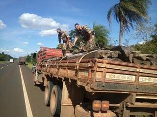 Polícia Militar Ambiental apreendeu 261 estacas de aroeira (Foto: Divulgação PMA) 