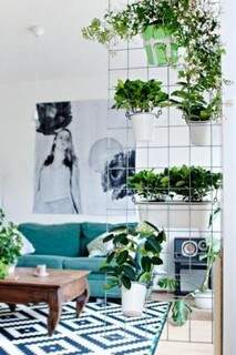 De metal, divisória barata serve de suporte para plantas. Leva o verde para dentro da casa e ainda divide ambientes.