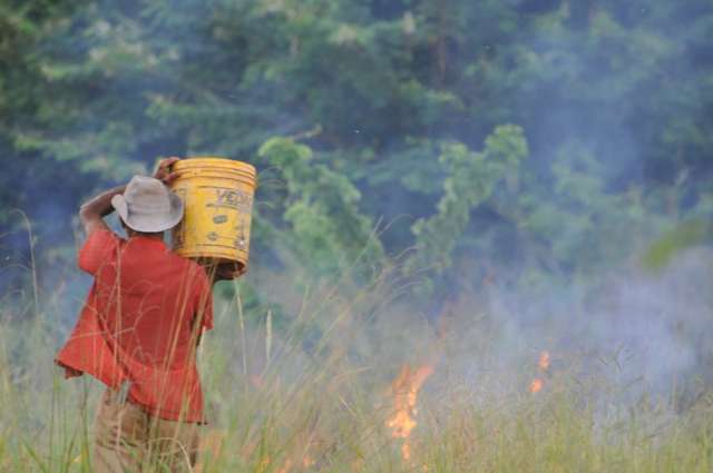 S&oacute; um trabalhador combate inc&ecirc;ndio que destruiu dois hectares na Capital