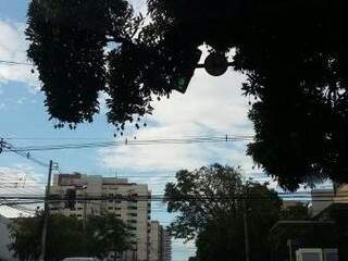 Semáforo danificado e coberto por galhos de árvore no cruzamento da Rua Arthur Jorge com Rua Antonio Maria Coelho (Foto: Direto das ruas) 