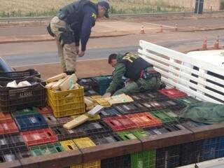Fardos de maconha estavam embaixo de caixas usadas para transporte de fruta (Foto: Adilson Domingos)