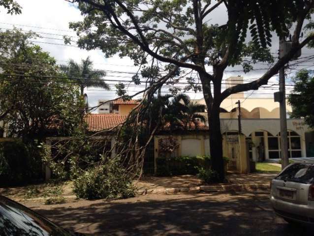 Galho cai sobre a rede el&eacute;trica e deixa regi&atilde;o sem energia na Capital