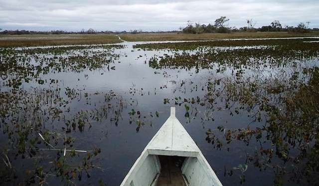 Pe&atilde;o de comitiva cai em po&ccedil;o, &eacute; atacado por piranhas e morre afogado