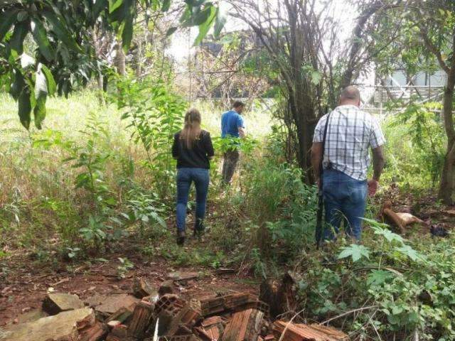 Corpo de mulher &eacute; encontrado em terreno com sinais de espancamento e estupro