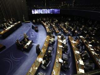 Sessão desta quarta-feira (10) no Senado Federal. (Foto: Fabio Rodrigues Pozzebom/Agência Brasil) 