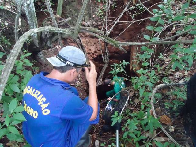 Iagro faz mutir&atilde;o para combater a raiva em Camapu&atilde; e S&atilde;o Gabriel do Oeste