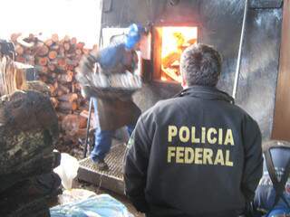 Policiais incineram entorpecentes em frigorífico de Ponta Porã. (Foto: Divulgação)