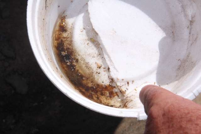Obras abandonadas e com focos de dengue assustam vereadores