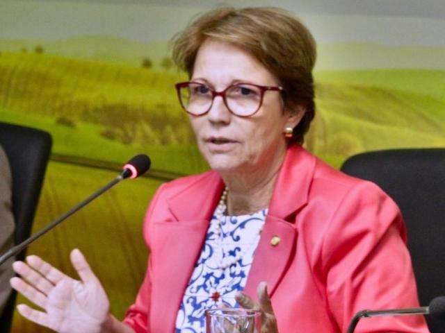 Ministra quer manter bom relacionamento do Brasil com pa&iacute;ses &aacute;rabes