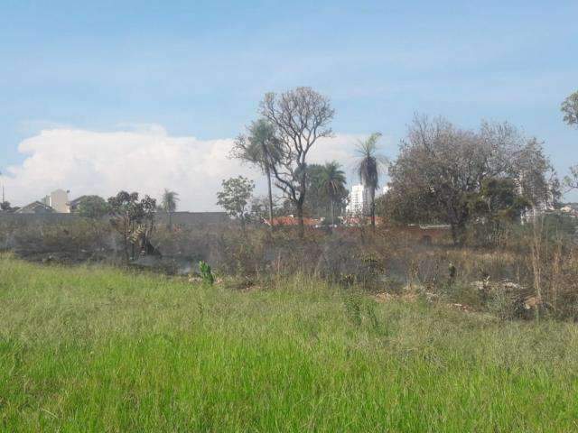 Inc&ecirc;ndio em terreno chama aten&ccedil;&atilde;o de moradores pela altura da fuma&ccedil;a