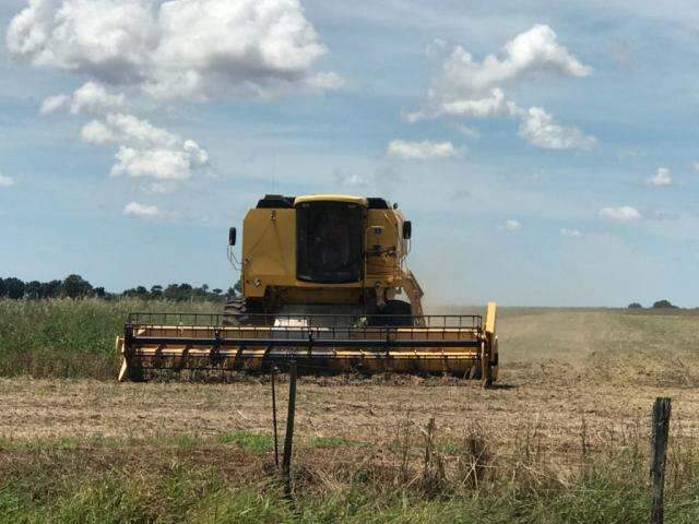 Em safra recorde, colheita j&aacute; atinge tr&ecirc;s de cada quatro hectares com soja