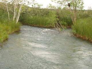 Projeto para criação de unidades de preservação em Bonito inclui rios Formoso e da Prata (Foto: Divulgação/Prefeitura) 