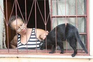 Prefeitura amea&ccedil;a multar casal por cuidar de 40 gatos em condom&iacute;nio 