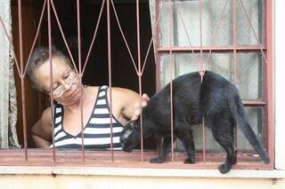 São 12 gatos só dentro da casa de Gleici (foto: Marcos Ermínio)