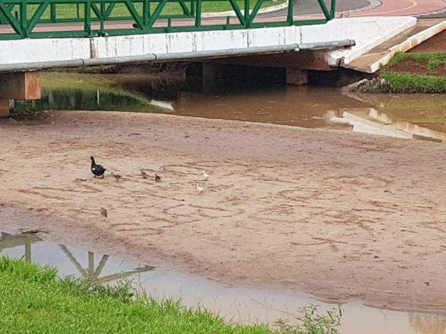 Marquinhos culpa “gestões anteriores” por tragédia em cartão-postal da cidade