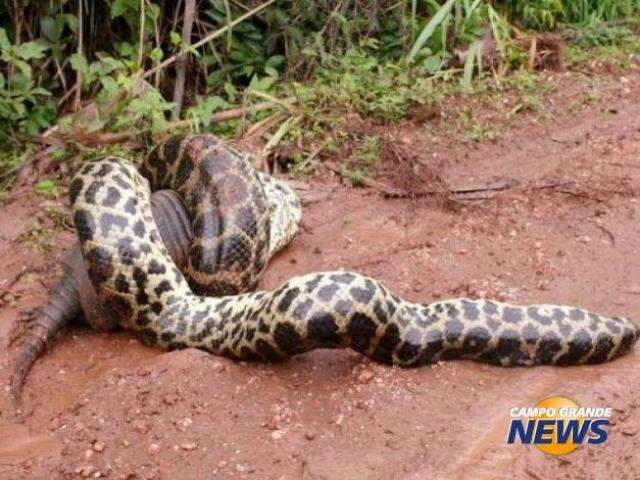 Crimes, trag&eacute;dias, curiosidades... diversos assuntos deram o que falar 