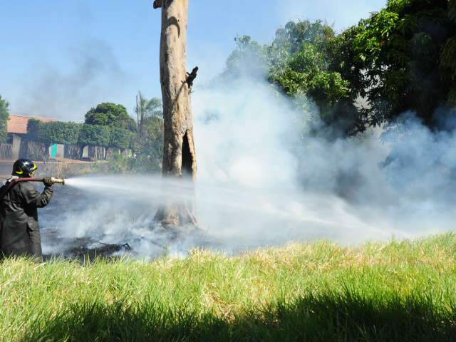  Inc&ecirc;ndio atinge terreno baldio e amea&ccedil;a im&oacute;vel no Jardim Im&aacute;