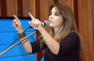 Deputada Antonieta Amorin afirma que Mato Grosso do Sul sofre com o aumento da criminalidade resultante do tráfico (Foto - Divulgação)