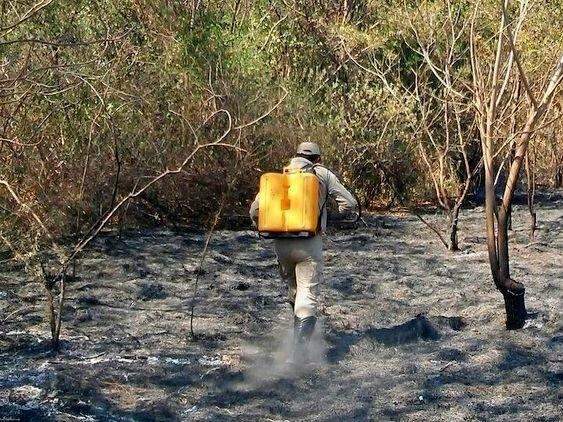 Corumb&aacute; bate recorde e tem maior n&uacute;mero de queimadas do pa&iacute;s