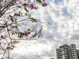 Meteorologia prev&ecirc; sexta-feira de c&eacute;u nublado e m&aacute;xima de 32&deg;C em MS