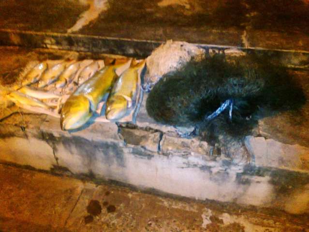 Dois s&atilde;o presos com pescado fora da medida e capturado com tarrafa