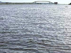 Em &eacute;poca de cheia, n&iacute;vel do Rio Paraguai come&ccedil;a a baixar 