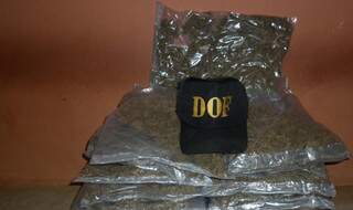 A droga estava embrulhada a vácuo em 24 pacotes de plástico (Foto: DOF)