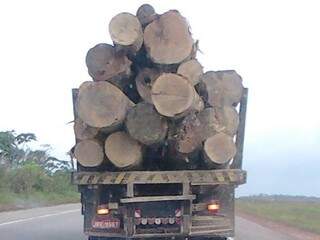 MPE afirma que cargas de madeira passavam sem fiscalização em posto (Foto: Divulgação)