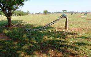 Tempestade provoca estragos na zona rural de Bataypor&atilde;