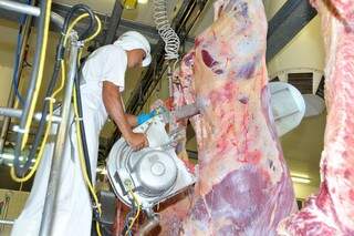 No “Complexo Carne”, a receita de exportação alcançou US$ 587,9 milhões (Foto: Divulgação/Assessoria)