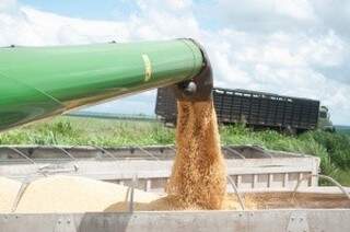 Os maiores estoques declarados no Estado, no final do ano passado, eram de milho em grão (Foto: Arquivo/Campo Grande News)