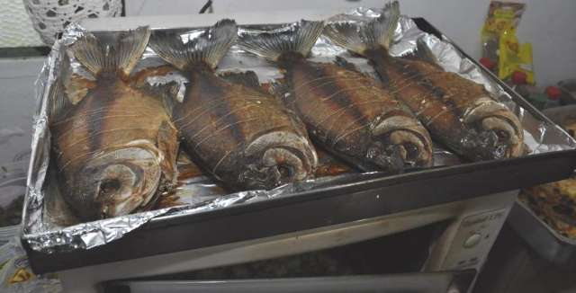 Semana do Peixe come&ccedil;a hoje, com previs&atilde;o de consumo 30% maior