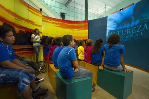 Onça do Pantanal é tema de exposição interativa até julho em Corumbá