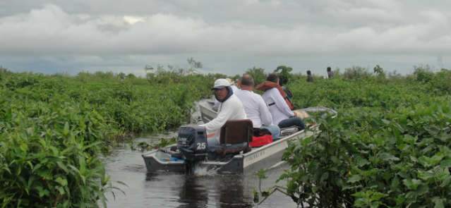  Grupo de pescadores testemunha escassez de peixes no rio Paraguai